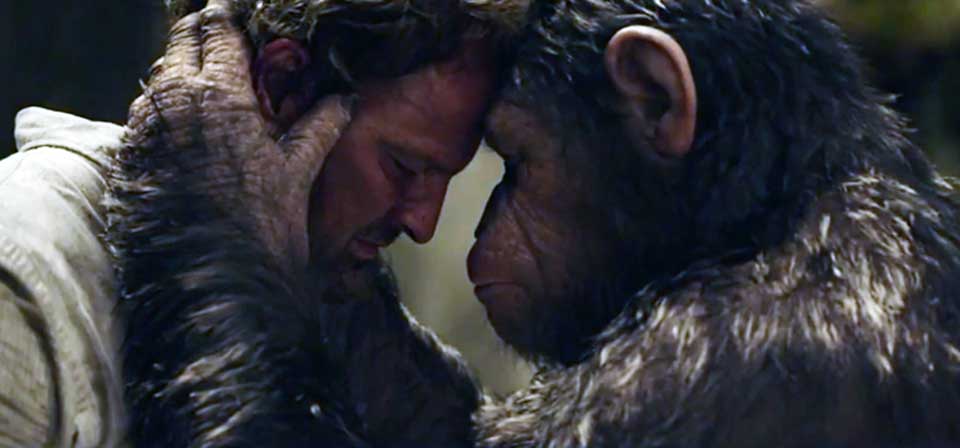 Ape Porn - Dawn of the Planet of the Apes (2014) - Decent Films